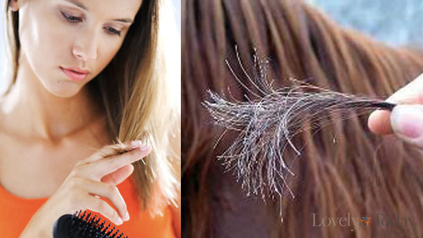 Cara Mengatasi Rambut Pecah- Pecah Secara Alami | Tips Trik Merawat Rambut