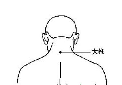 背部穴道圖大椎 - 背部穴道督脈大椎 | Source:zhidao.baidu.com/question/1308127864477891259.html 背部穴道圖大椎 - 背部穴道督脈大椎 | Source:zhidao.baidu.com/question/1308127864477891259.html
