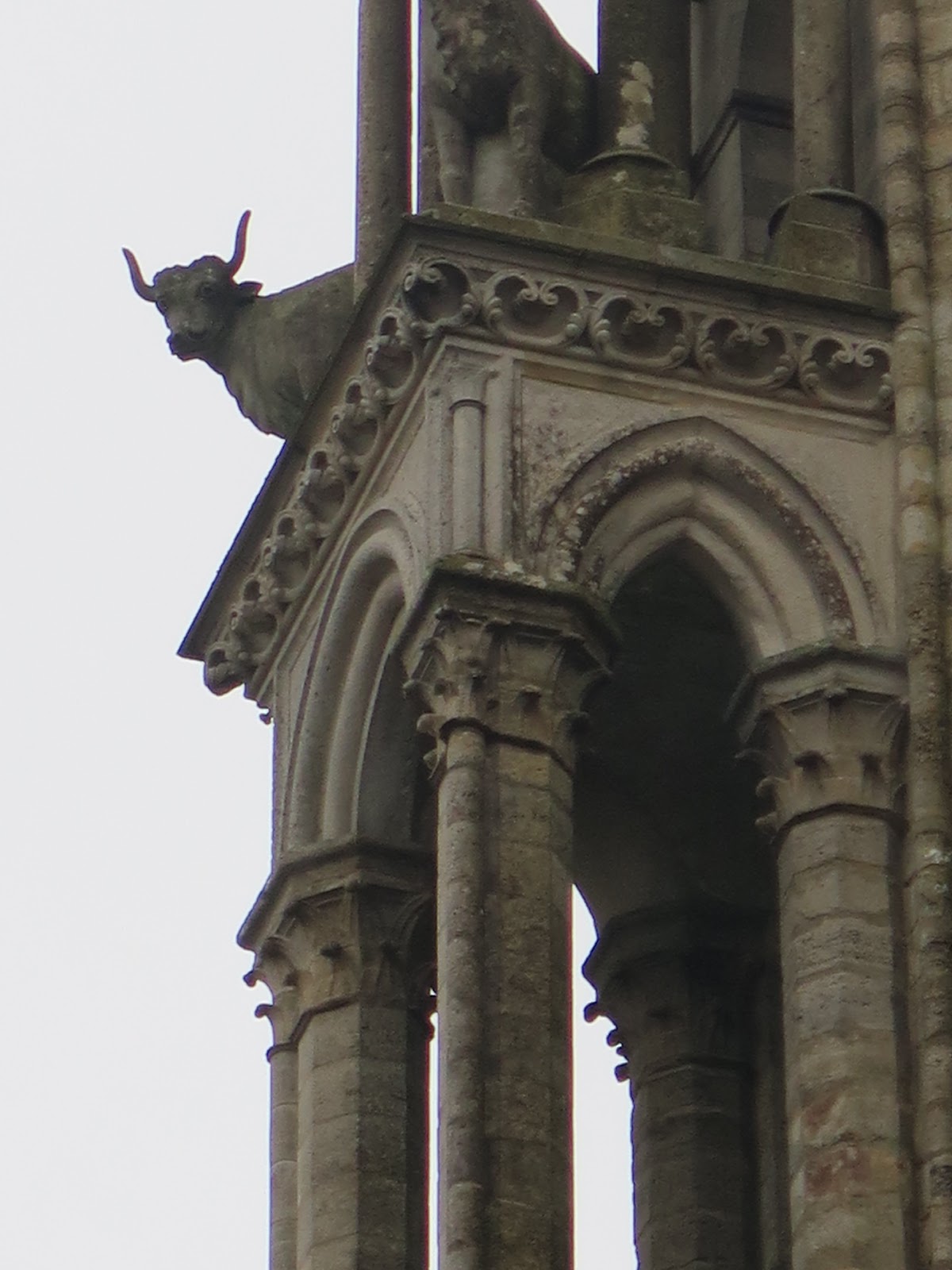 LES MERVEILLES DE DANIELLE Les bœufs de la cathédrale de Laon... (1)