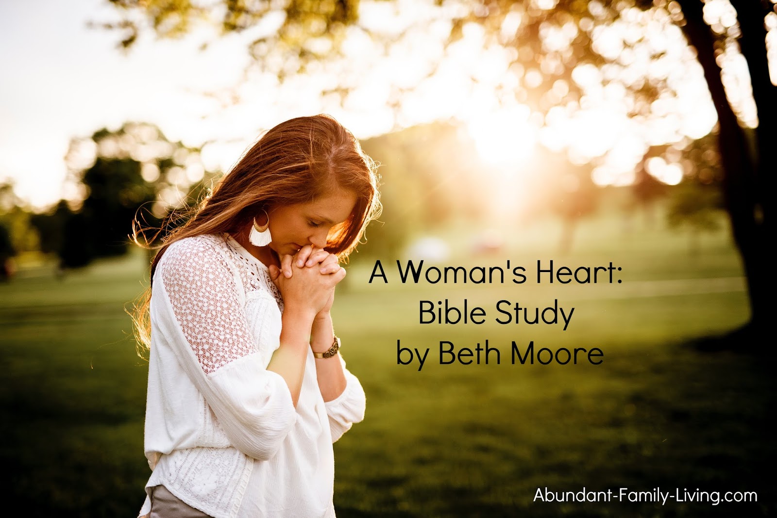 Beth Moore Bible Study A Womans Heart Gods Dwelling Place Study Poster