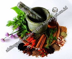 Obat Demam Berdarah Obat Demam Berdarah