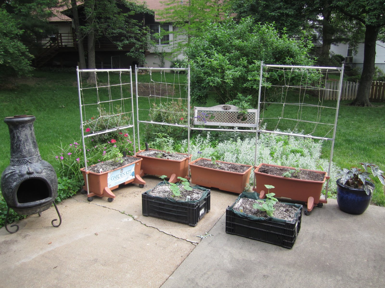 Johnson's Garden Centers Patio Gardening