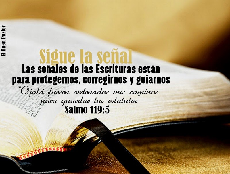 YO SOY EL BUEN PASTOR: Salmo 119:5
