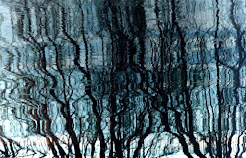 El río y sus reflejos