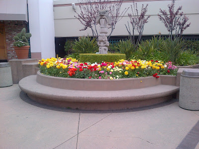 The Garden Doc: Container Gardening