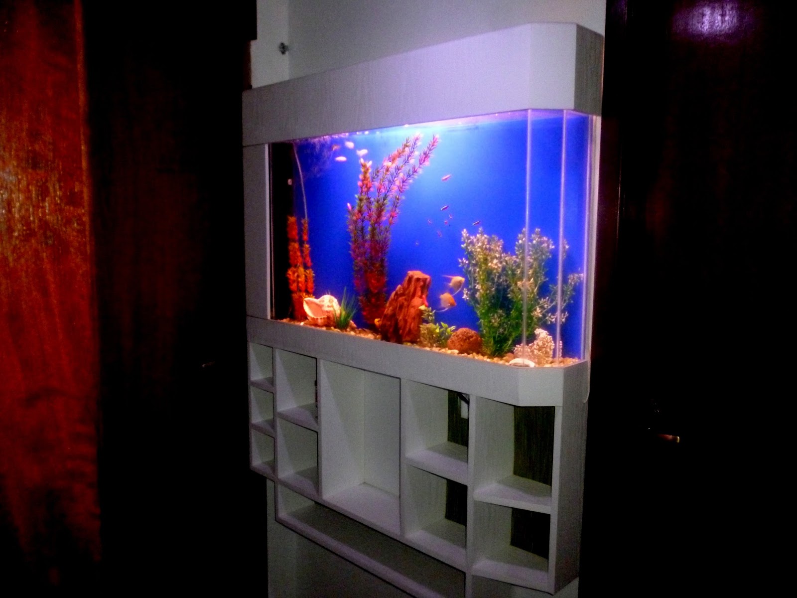 Aquario vortex 4 7ss