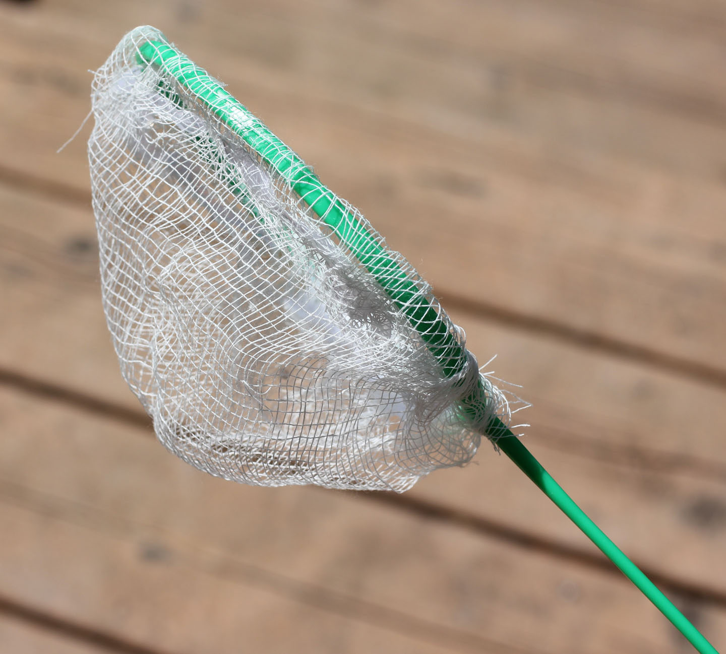 Bug Catcher Net - Repeat Crafter Me