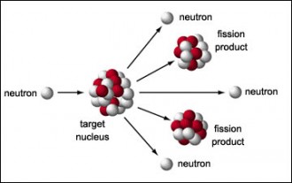 Fusion nuclear