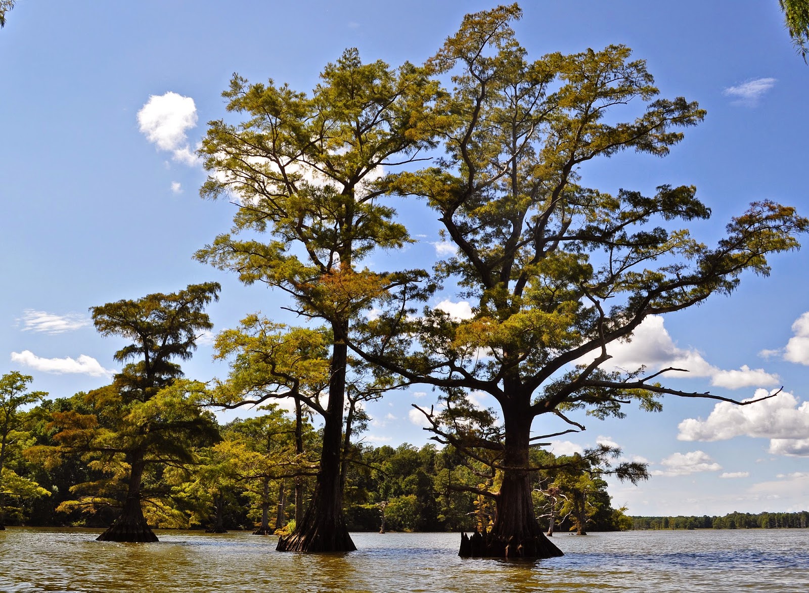 A Tidewater Paddler James River Claremont Beach 9/6/14