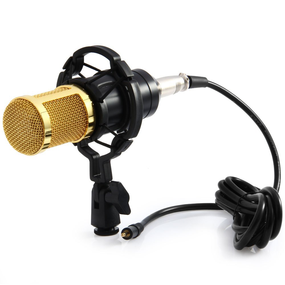 BM800 PROFESSIONAL STUDIO CONDENSER MICROPHONE REVIEW A platform to review electronic products