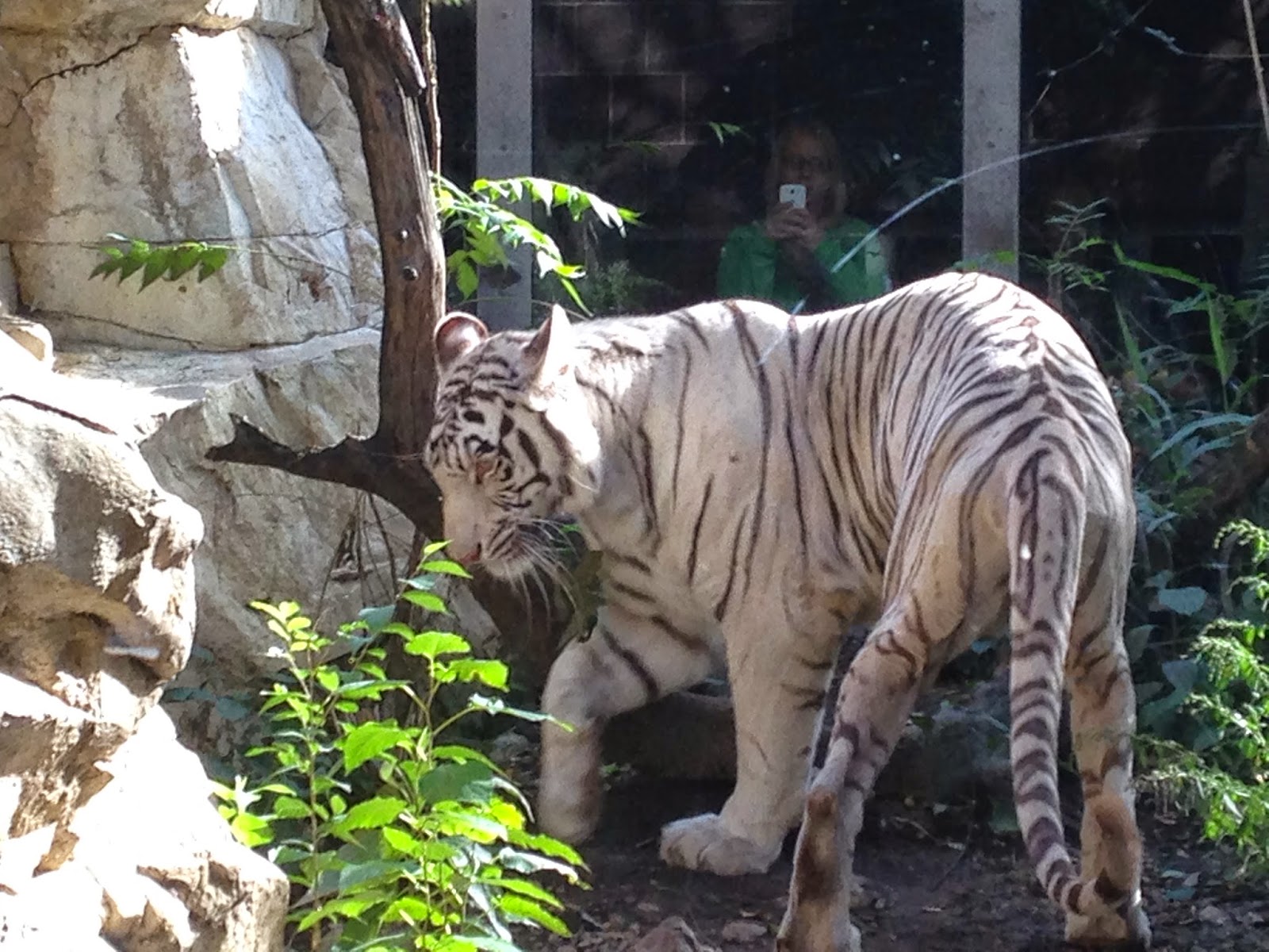 CombatCritic's TravelValue™: Henry Doorly (Omaha) Zoo: Full Price, Half