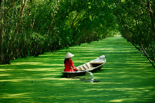 Hình ảnh đẹp về làng quê Việt Nam, lang que Viet Nam