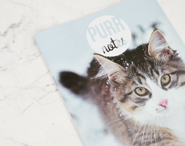 Lovelaughslipstick Blog - Review of Januarys Purrfectbox Cat Subscription Box