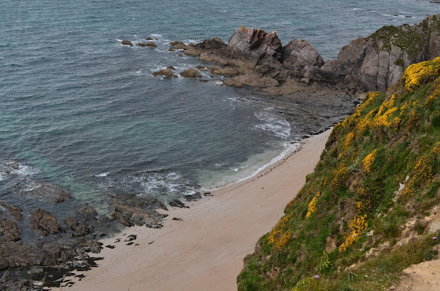DSC_0198.JPG