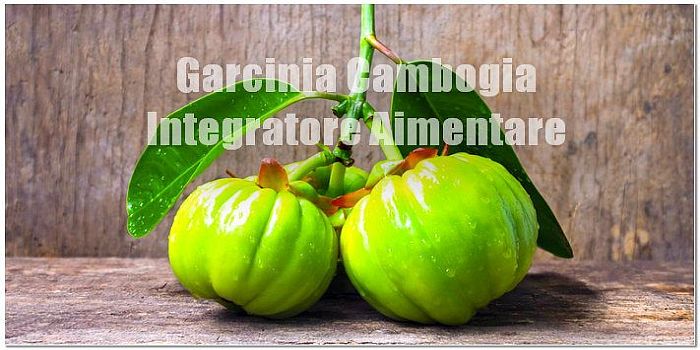 prova gratuita di garcinia cambogia vibez prova gratuita di garcinia cambogia vibez