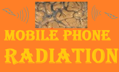 Mobile phone radiation