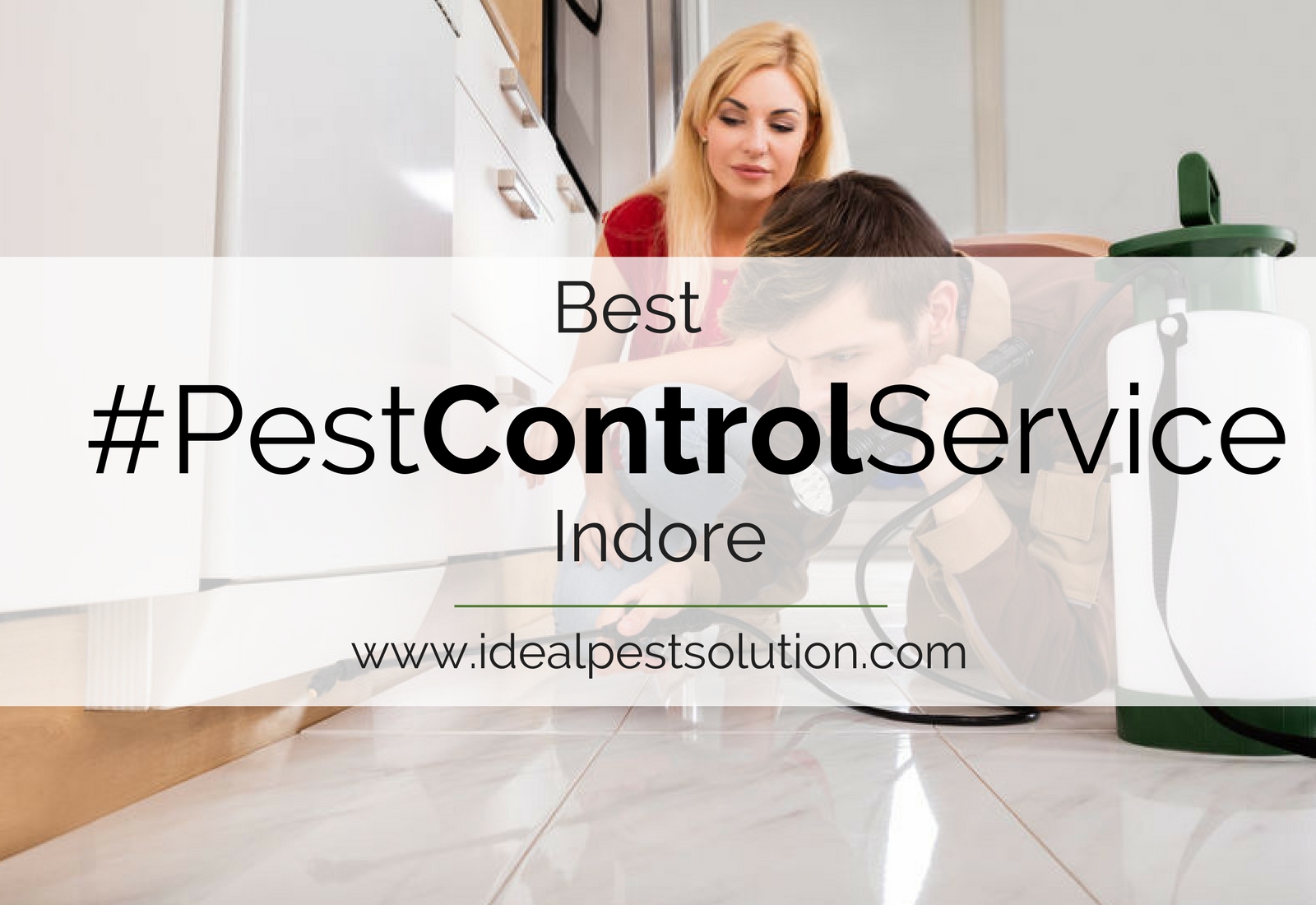 10 Quick Tips About Commercial Pest Control Services In Indore