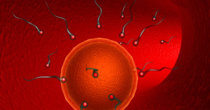 Genetically damaged sperm - Pussy Sex Images John leguizamo gay deaf uncle