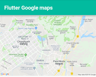 static google map