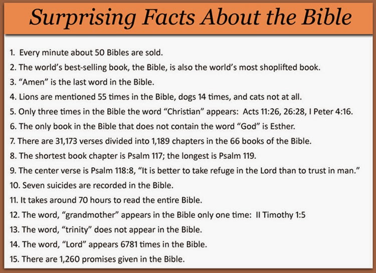 15 Surprising Bible Facts