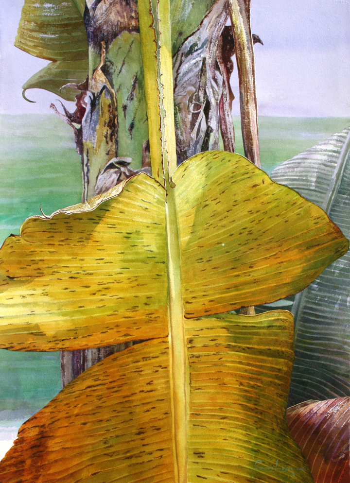 Carmen Lagos Watercolors