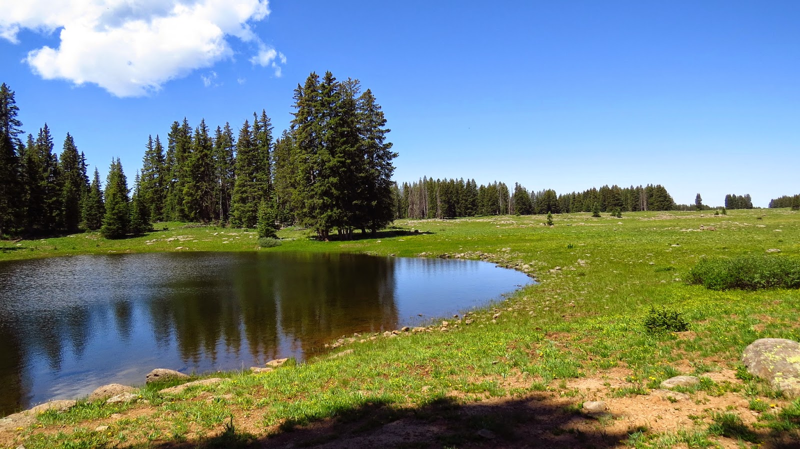 JIM THE TRUCK: Grand Mesa National Forest - A Great Place to Fix a Webasto Water Heater