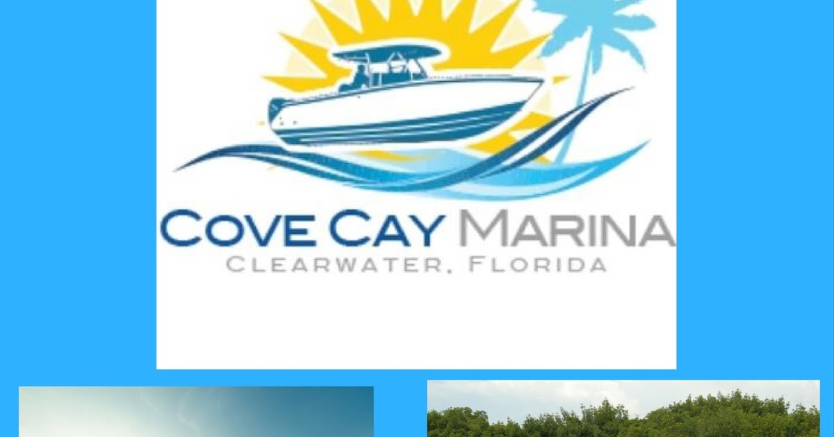 Cove Cay Marina The Bay Area's 1 Kayak & Paddle Board Rental Service
