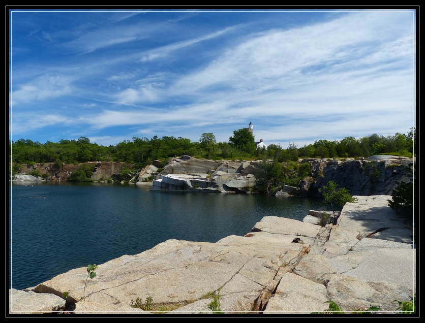 Are Dogs Allowed At Halibut Point State Park