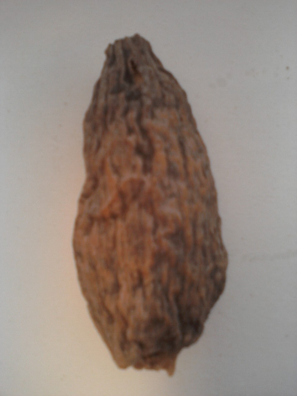 Portland Spice Guy Alligator pepper 2