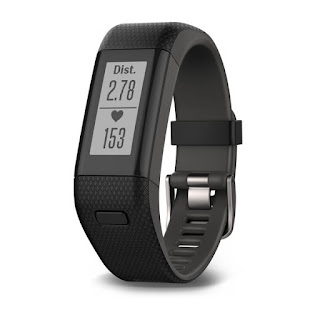 garmin vivoactive forerunner