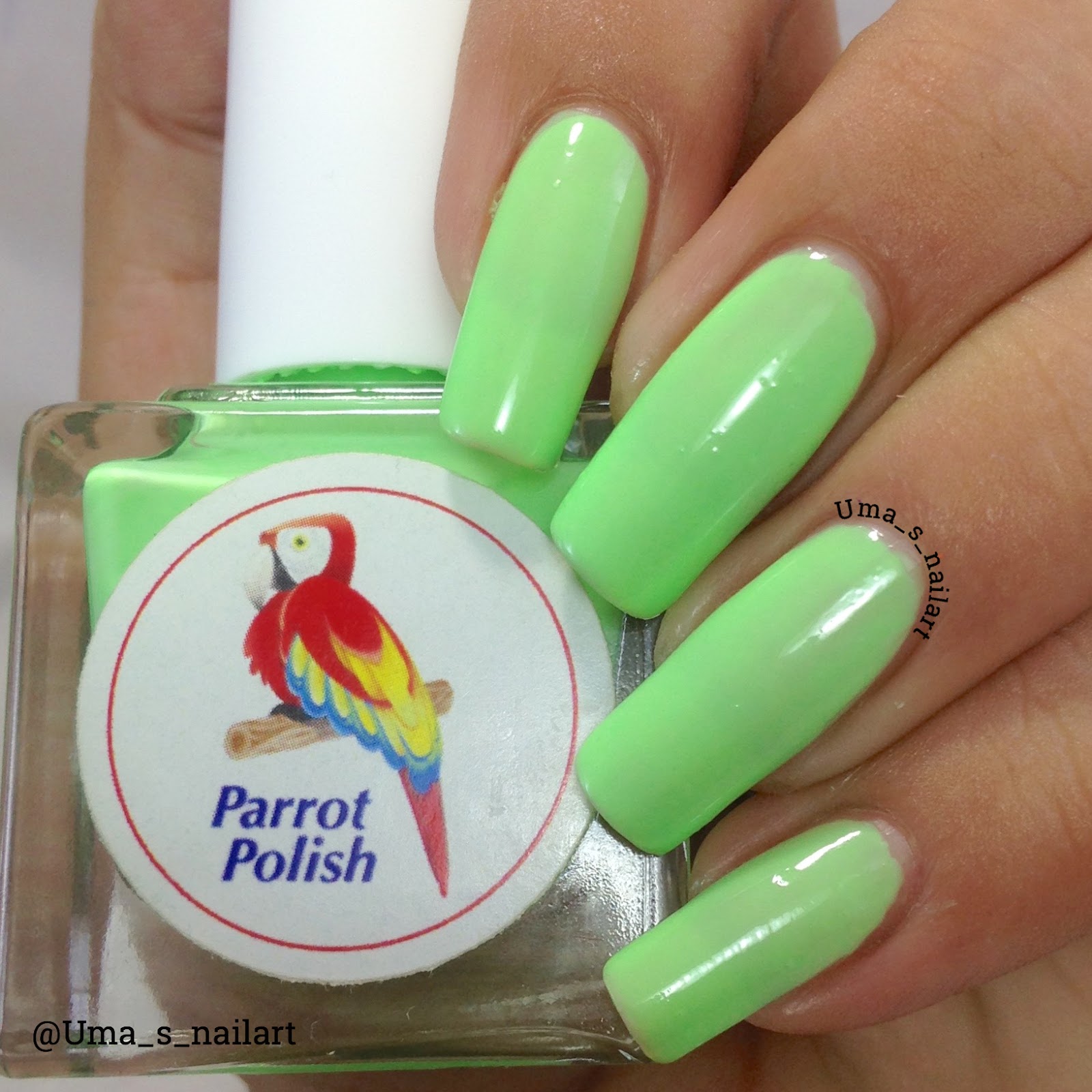 Parrot Polish Cool Summer Collection Swatches and Review..