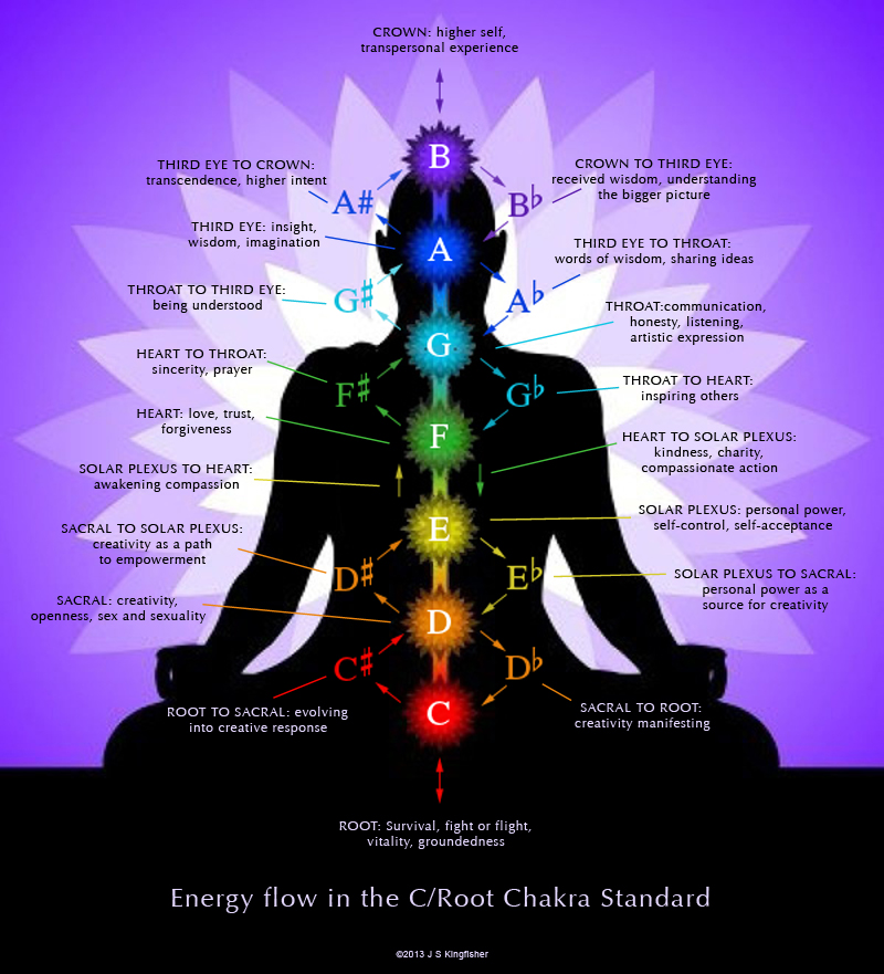 The Muzoracle Addenda Chakras and the Muzoracle
