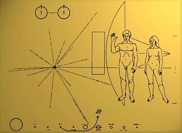 spatiale homme de vitruve