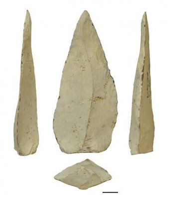 Oldest spear points date to 500,000 years