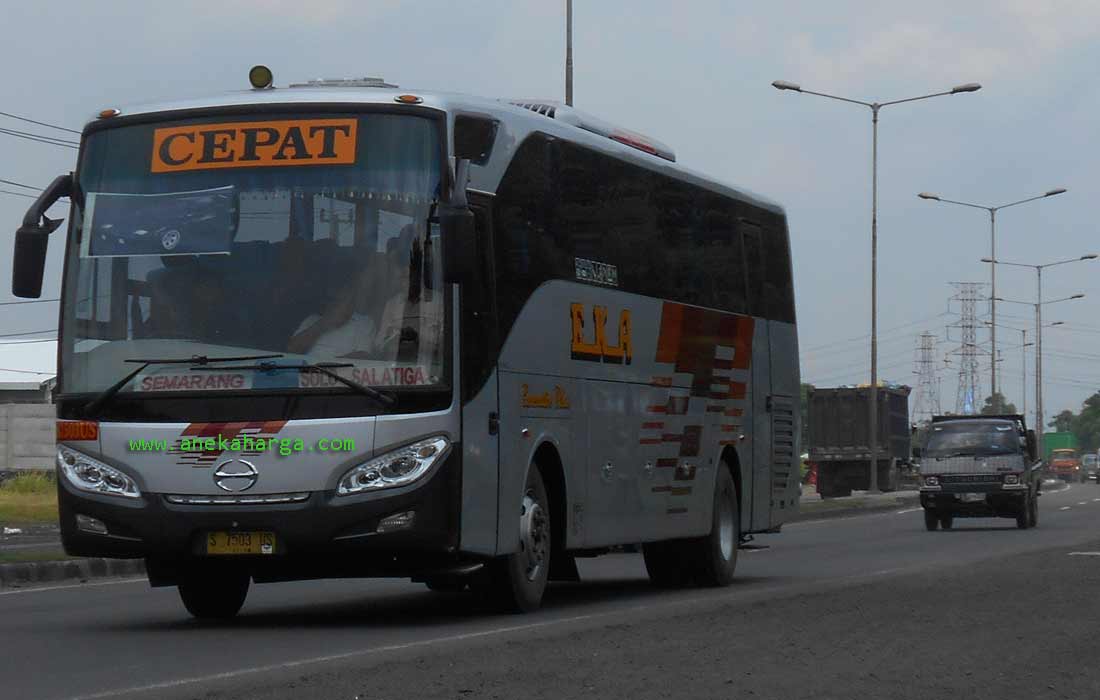 Bus