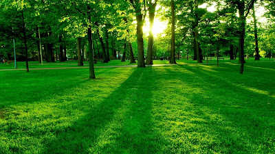 new top wallpaper download Top hd desktop wallpapers with high standard resolution – download.