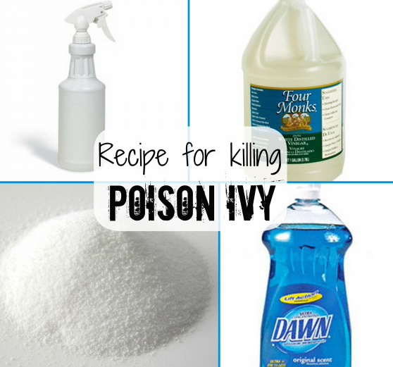 Homestead Crossing Inc's Blog How To Kill Poison Ivy & Other Weeds