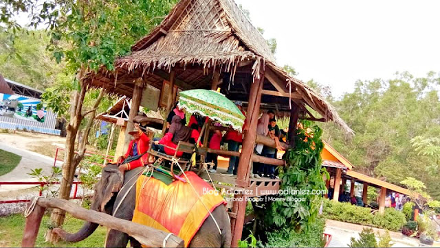 Chang Puak Camp, Hatyai ::: Pengalaman Menggerunkan Bila Naik Gajah !