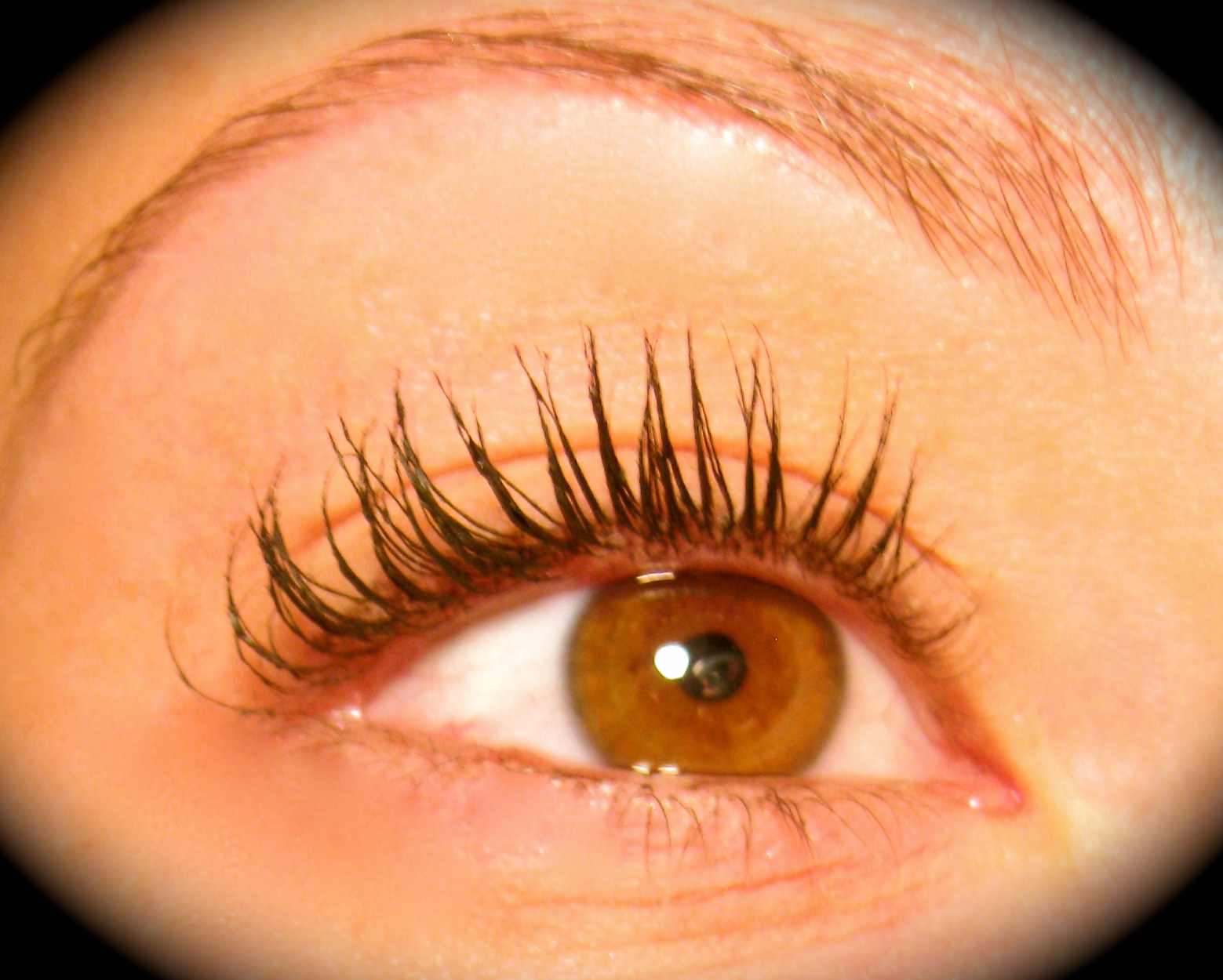 VENUS LAB SALT SCRUB MAC Pro 205 Mascara Fan Brush....No More Clumps