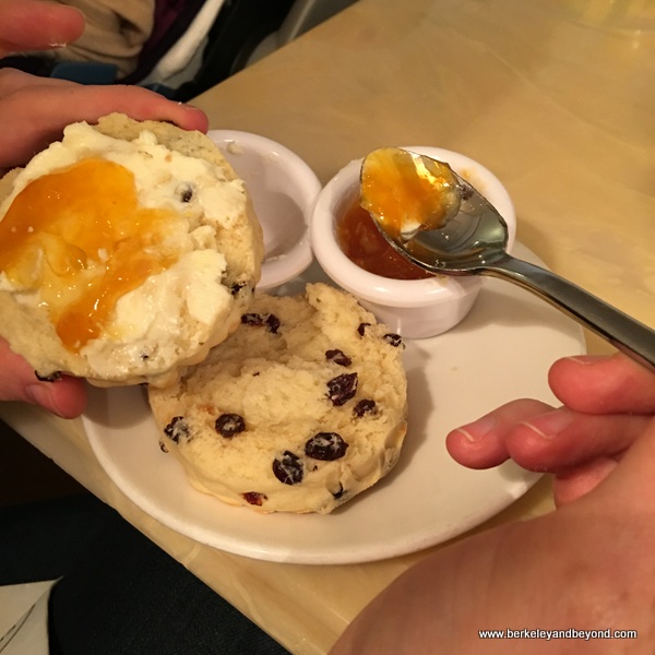 scone at Sarabeth's Upper East Side in NYC scone at Sarabeth's Upper East Side in NYC