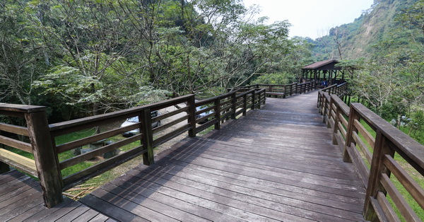 台中霧峰|青桐林生態產業園區|一線天|豐富的生態和原始森林 台中霧峰|青桐林生態產業園區|一線天|豐富的生態和原始森林