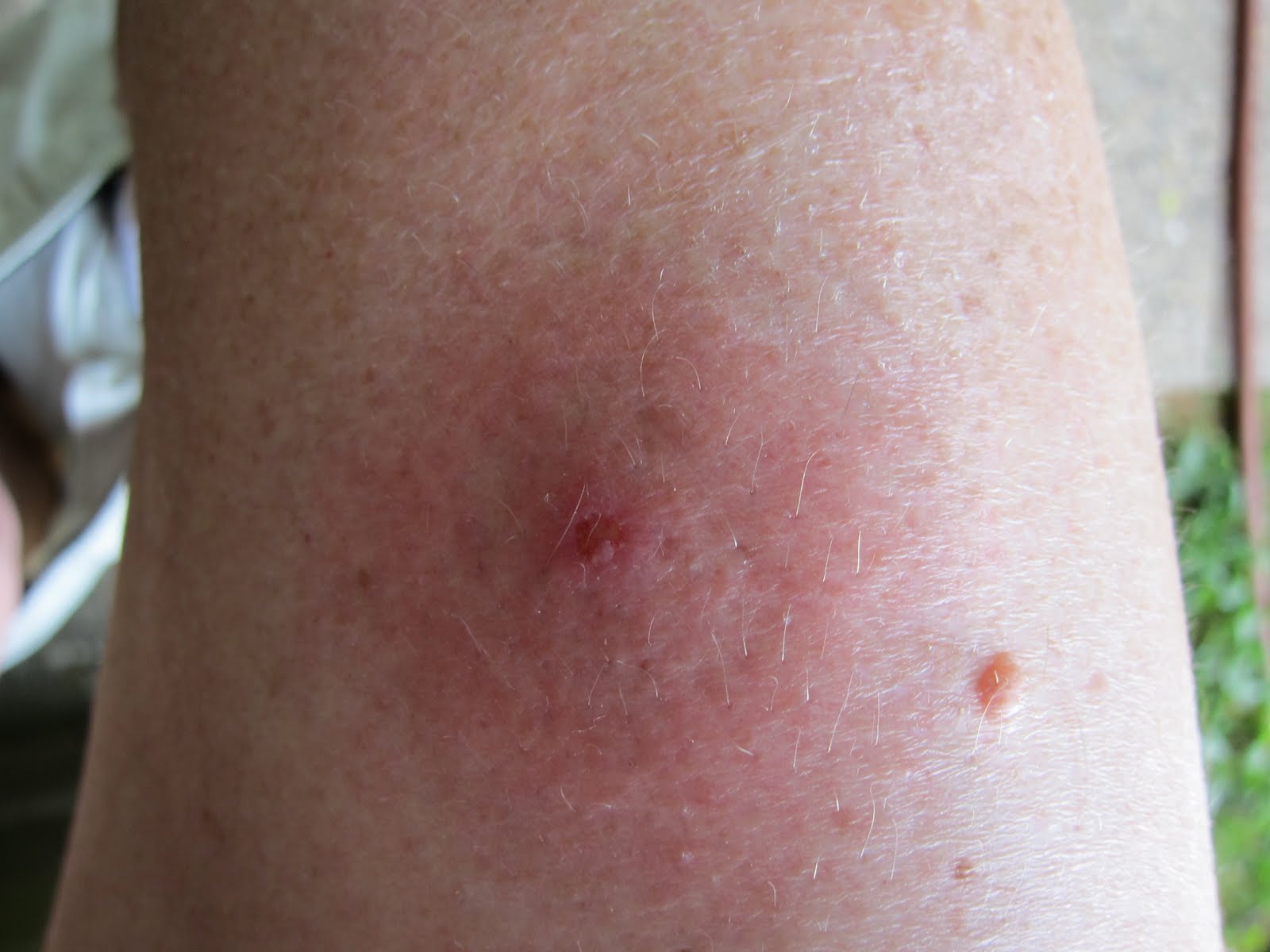 A LA RECHERCHE DE IN SEARCH OF... June 2011