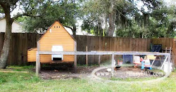 chicken coop backyard diy build building easy something