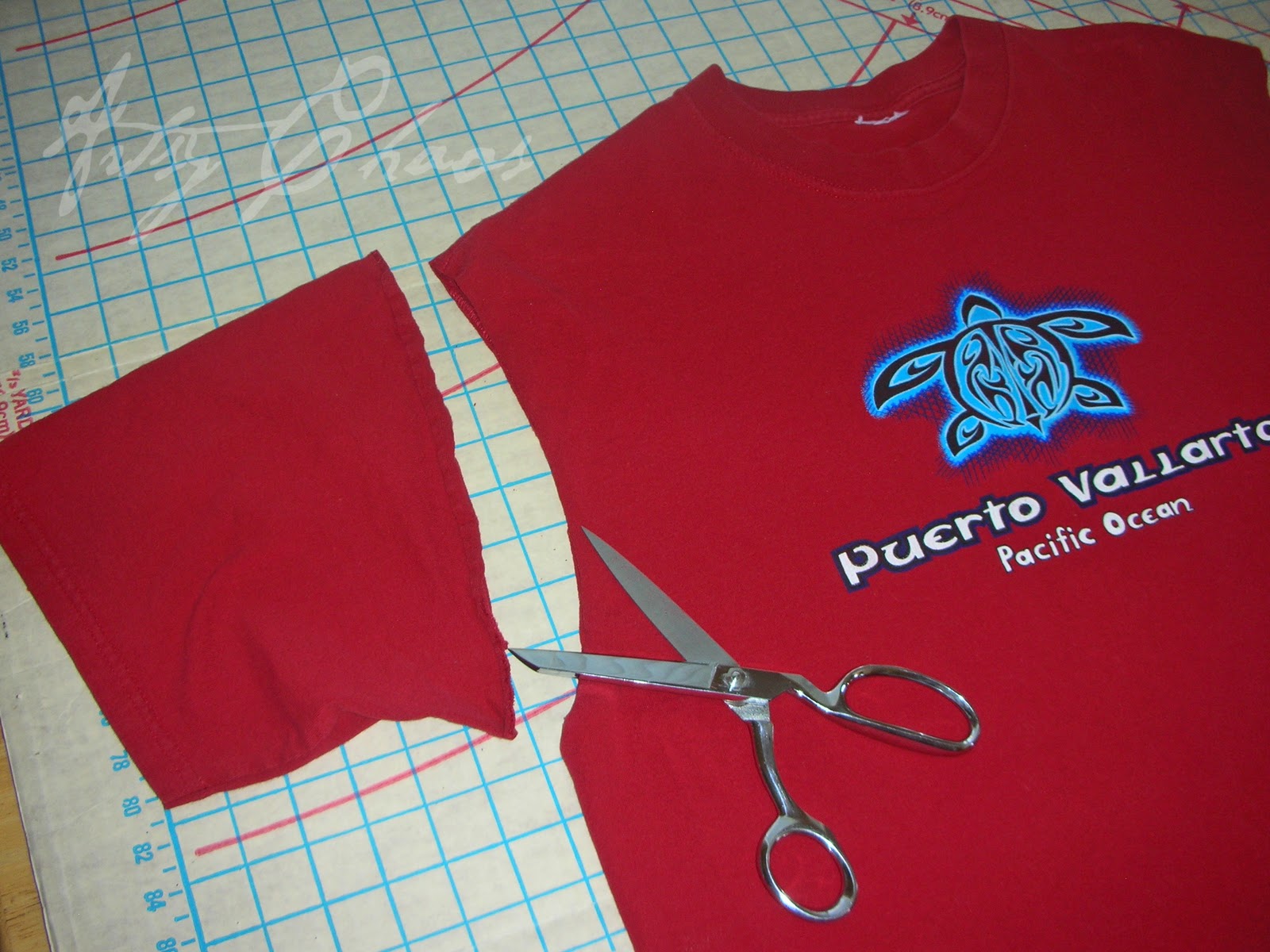 Camp Blanket Tutorial, Part I