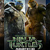 Teenage Mutant Ninja Turtles 2014 720p Dual Audio Full HD DowNLoaD