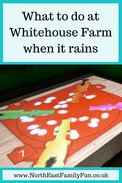 Whitehouse Farm Morpeth | What to do when it rains 