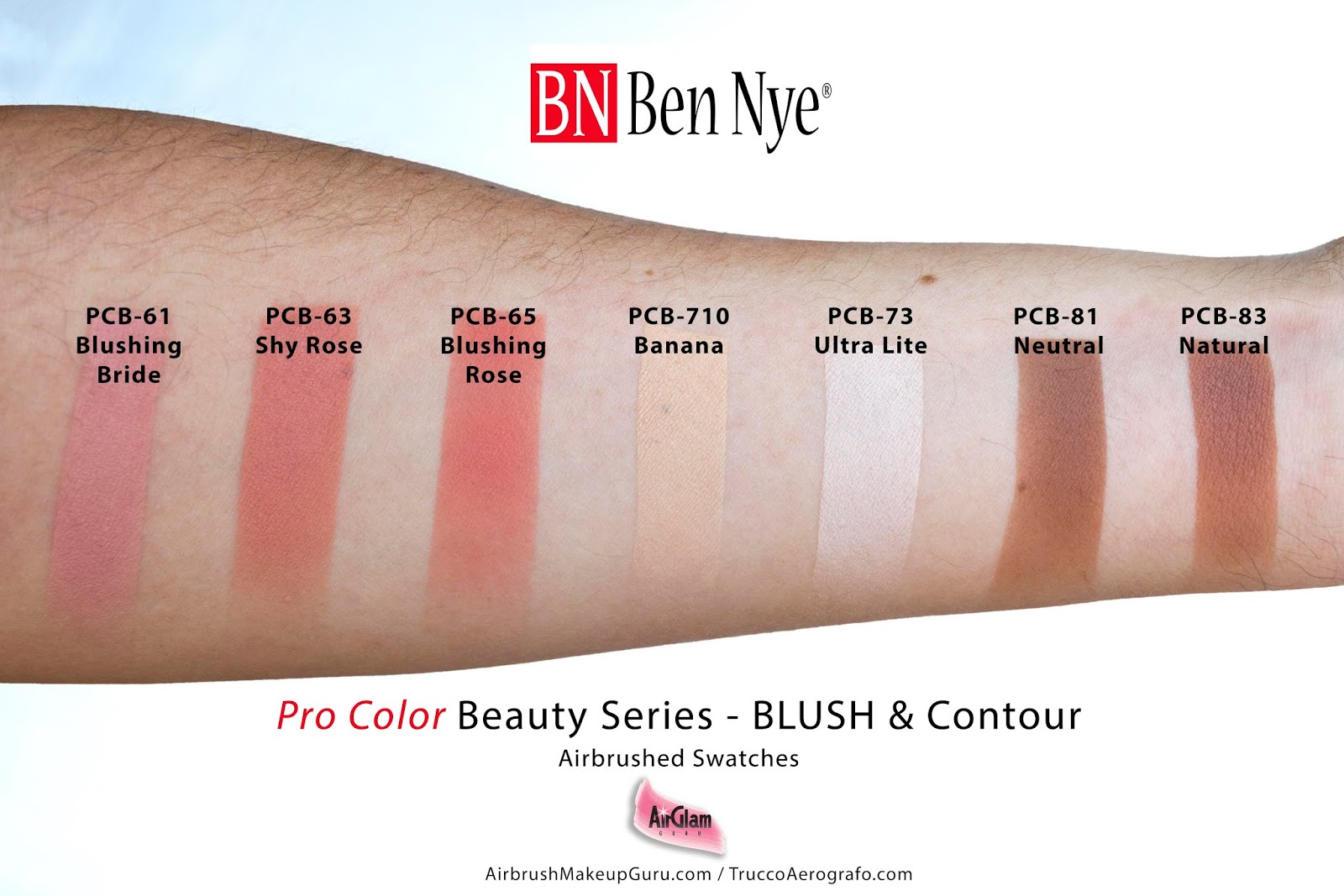 Ben nye powder blush hotsell
