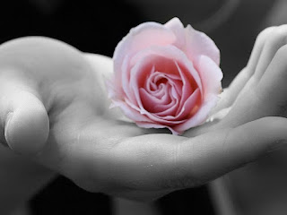 http://4.bp.blogspot.com/-75amYOWLqIk/UA8e0b7IqNI/AAAAAAAABMw/fa--uDGF9Kc/s1600/Flor-en-la-mano1.jpg