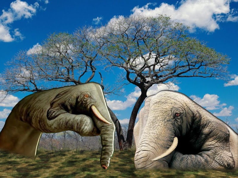 43+ Contoh Gambar Dekoratif Gajah, Penting!