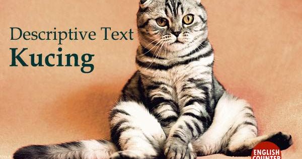 Contoh Descriptive Text About Animal Kucing Beserta Artinya